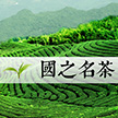 國之名茶知多少？ 看完裝逼剛剛好 ----- by正楊茶私塾（第1期下）